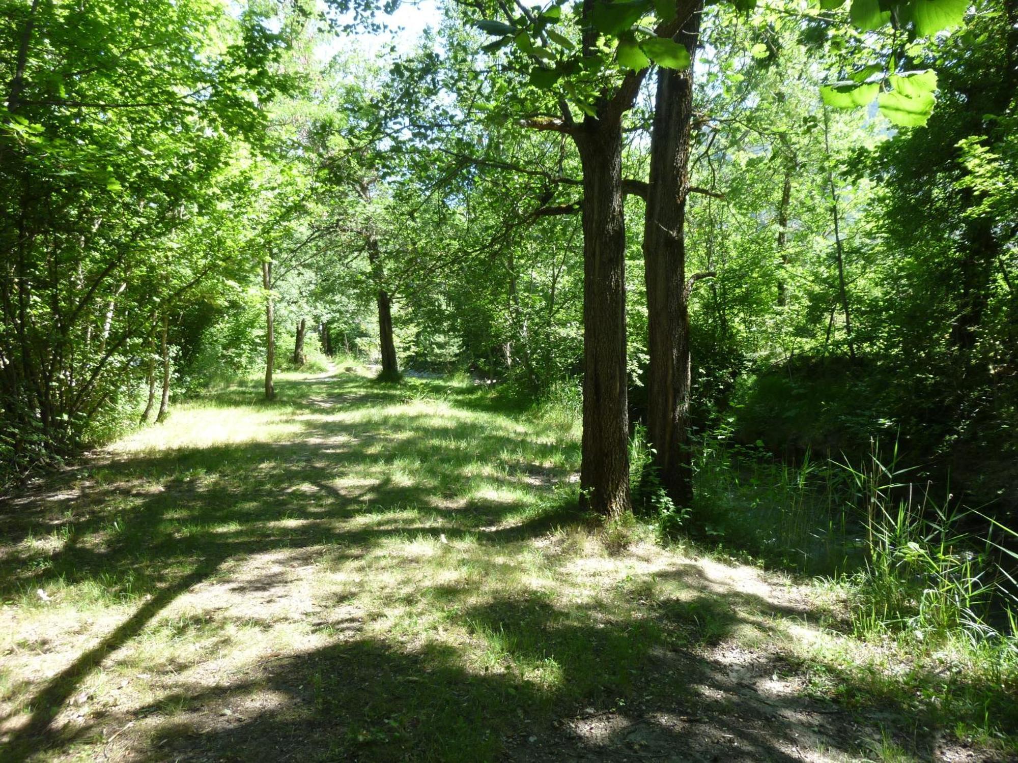 Camping Notre Dame Castellane Ngoại thất bức ảnh